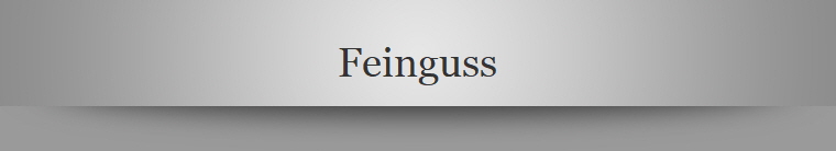 Feinguss